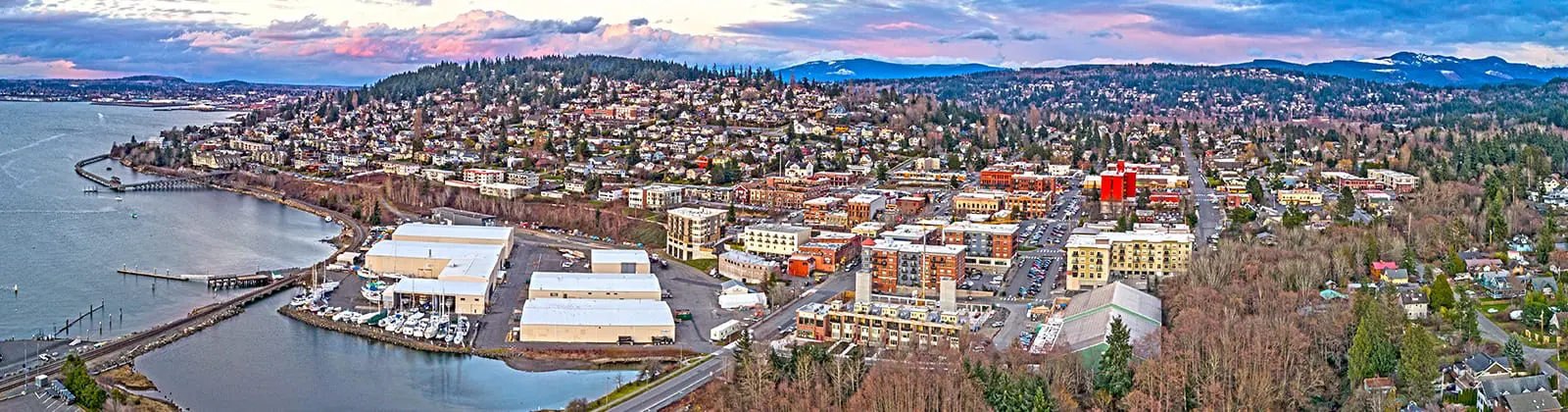 Bellingham Feature 2