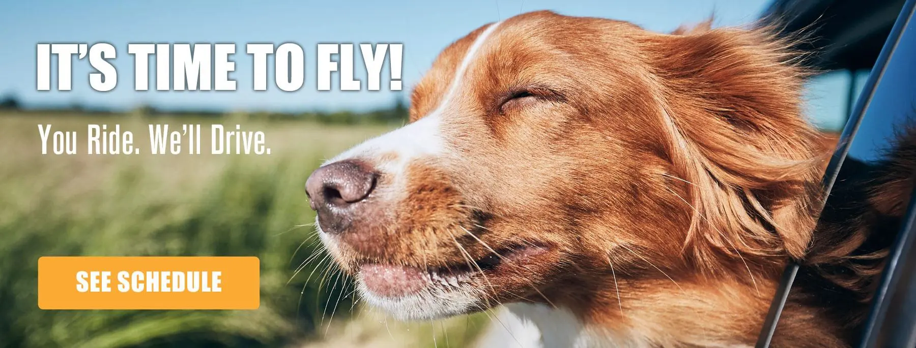 Its Time To Fly 1800x745 Its Time To Fly 1800x745
