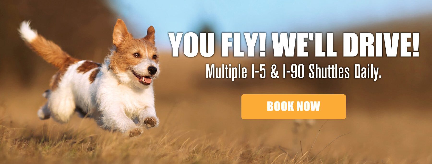 You Fly 20260907 1800x745